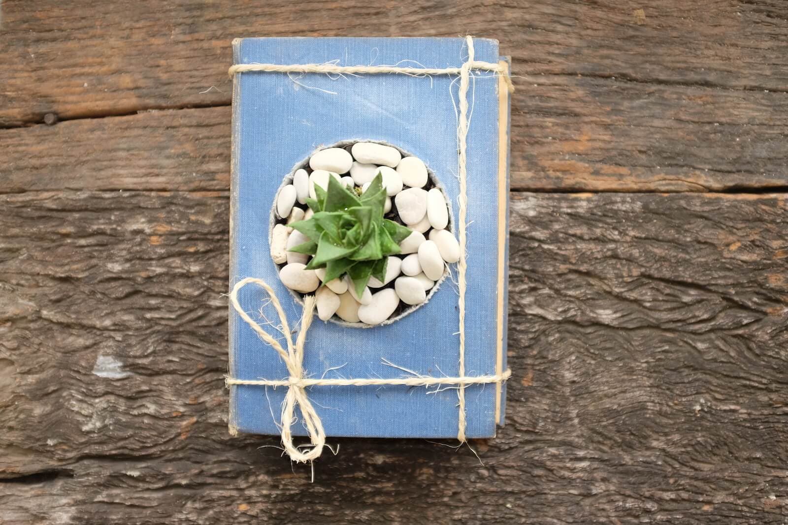 Upcycled Book Planter
